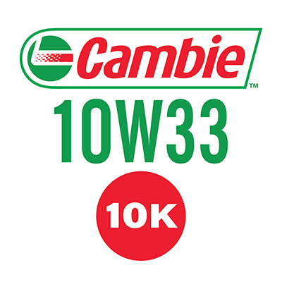 Cambie 10W33 10k
